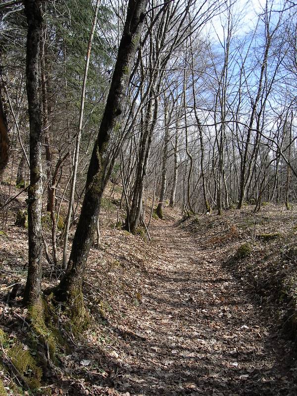 #1 Départ du Lac : chemin buccolique Départ du Lac : chemin buccolique