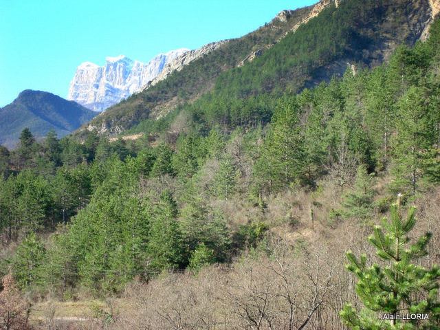 Vercheny : Vue au départ