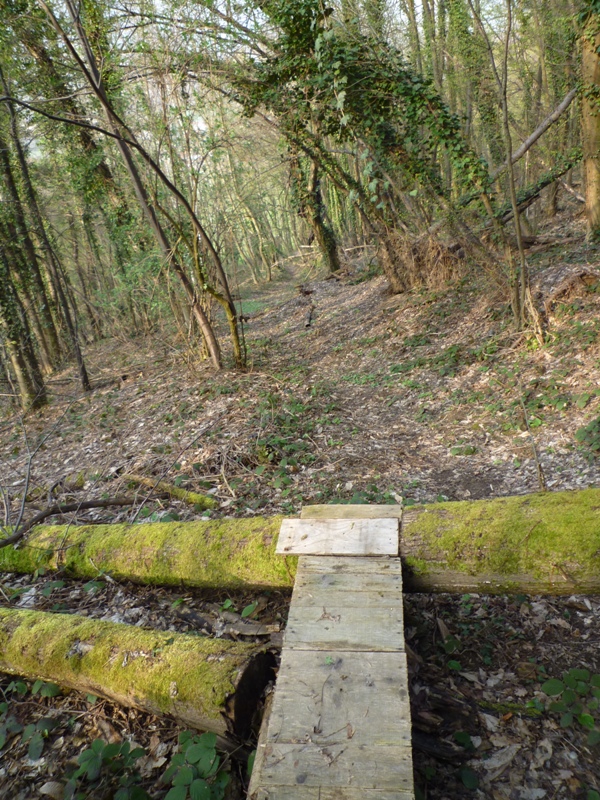 #2 Passerelle! : Le seul passage qui m Passerelle! : Le seul passage qui m'a résister!(bois humide et sol glissant)