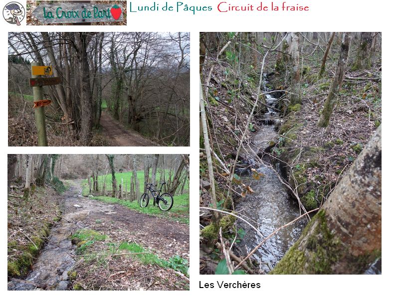 Les Verchères : En contrebas du Parc de Courzieu