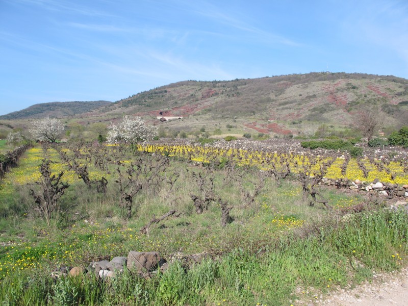 Lac du Salagou : Flamboyage de couleurs : rouge, jaune, blanc, bleu,...