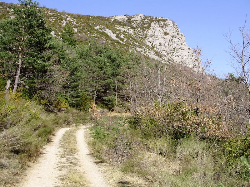 #1 Montée au Col de Saumane : Roulante et efficace ! Montée au Col de Saumane : Roulante et efficace !