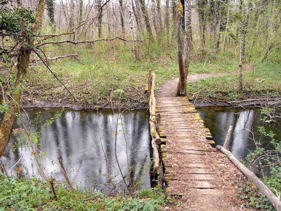 Le Furans : passerelle