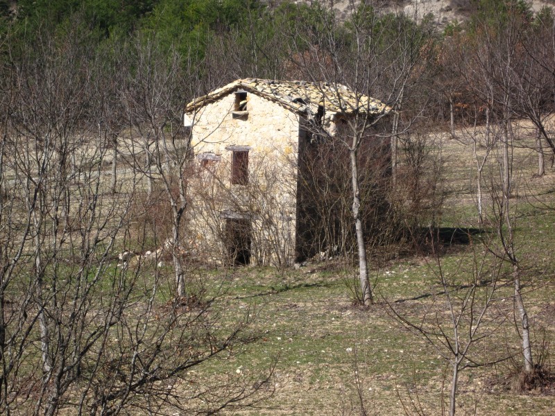 Lamourier : une bergerie en ruine