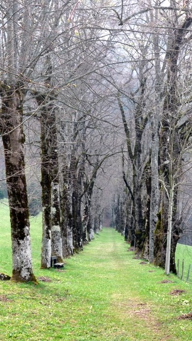 #2 Promenade : De quoi prier et méditer pour les nones Promenade : De quoi prier et méditer pour les nones