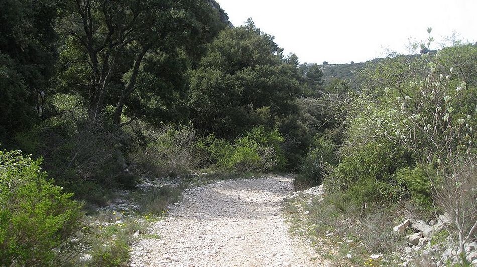 Sentier pistasse : du Vallon de l'Oule