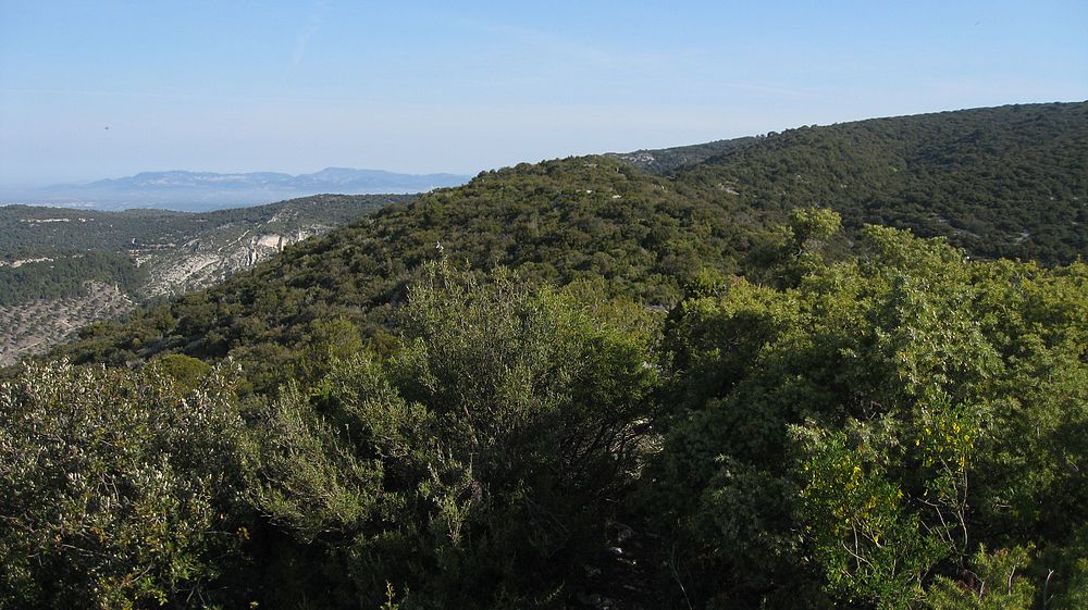 Crête de la Vache d'Or (574m) : ça ne passe plus à vélo, demi-tour...