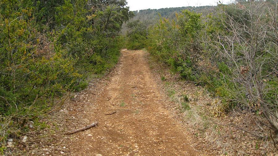 Massacre : du sentier de Chateauneuf