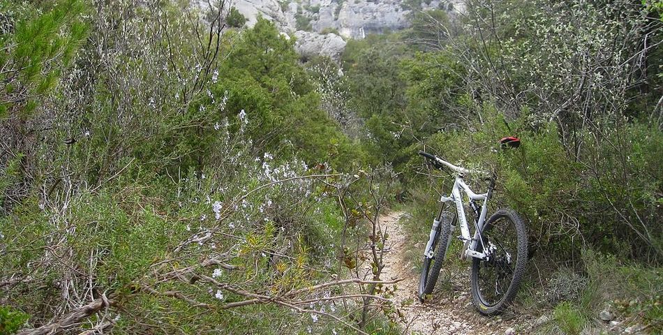 Vallon de la Gde Combe : Sentier très roulant