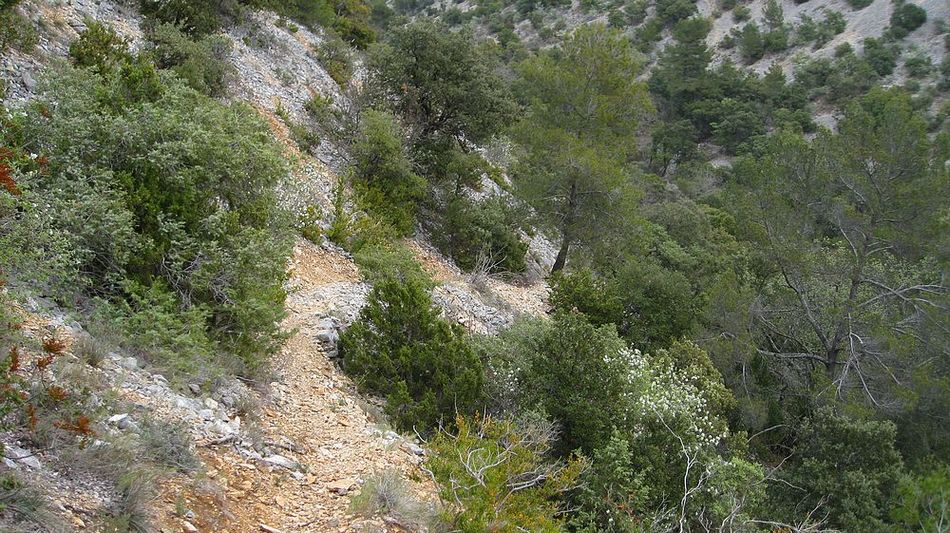 Ludique : le sentier