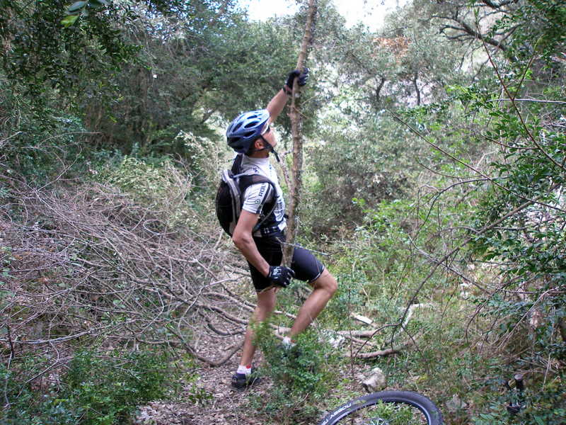 Saut à la perche ? : non, c'est du bucheronnage !