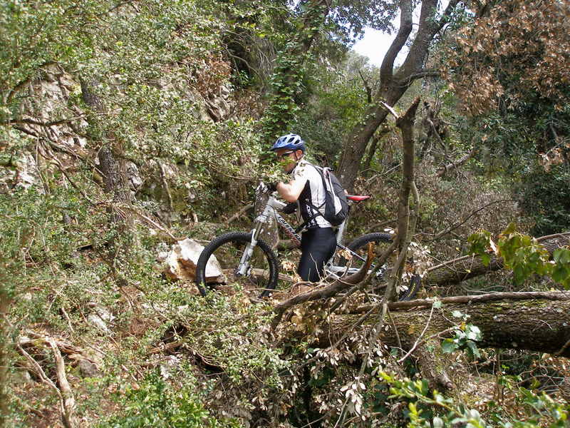 #12 Indiana Yann : dans la forêt du Luberon Indiana Yann : dans la forêt du Luberon