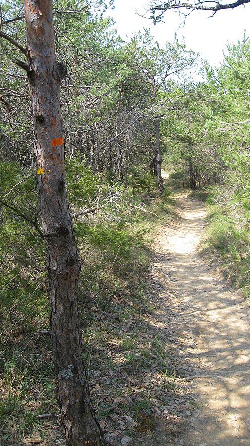 Sentier menant : à la Croix de Cristol