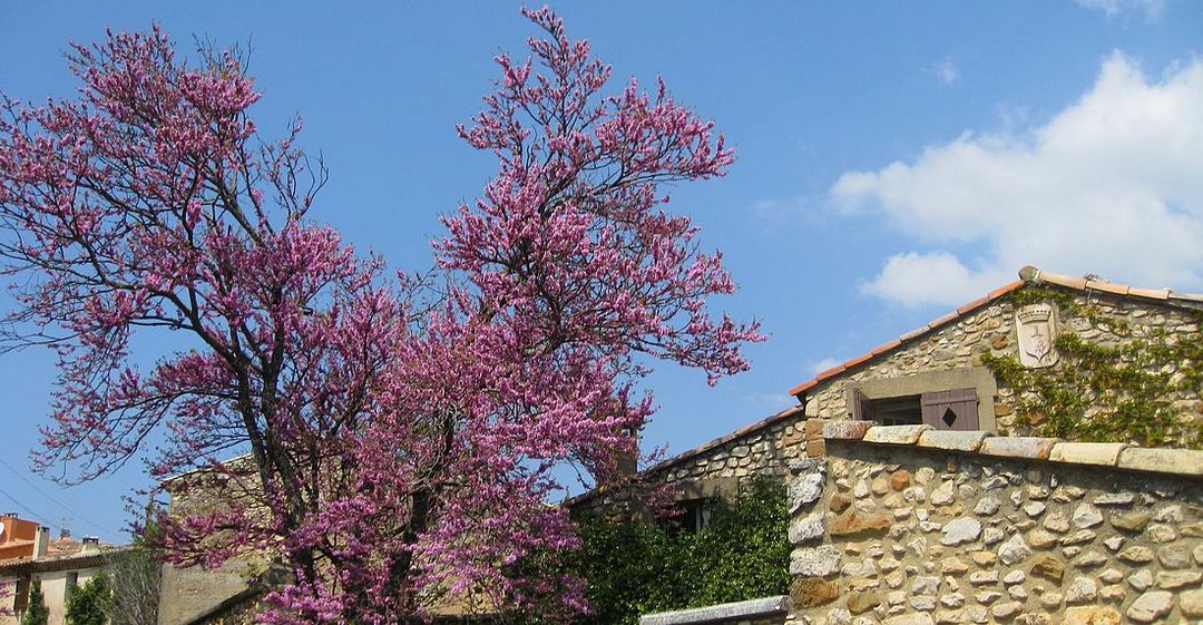 Dur retour à la réalité : (village de Rustrel)