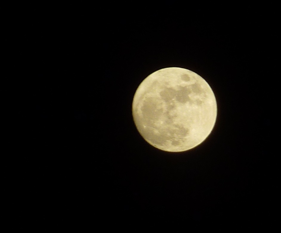 #5 Lune : Pleine Lune : Pleine
