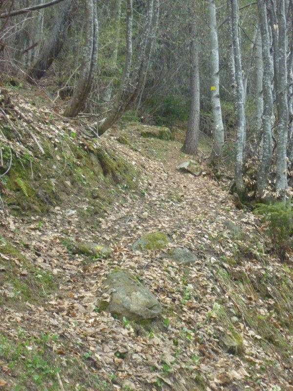 #4 du bon sentier : ou a est sur de s du bon sentier : ou a est sur de s'amuser