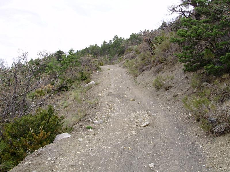 #3 Montée : Puis piste vraiment raide, mais sa roule toujours. Montée : Puis piste vraiment raide, mais sa roule toujours.