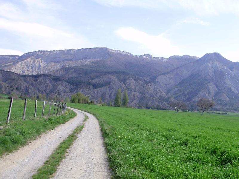 #1 Montée : Pistasse facile au début. Montée : Pistasse facile au début.