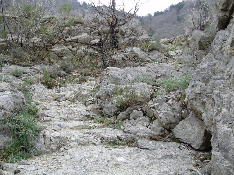 #12 Descente des Ostaus : Puis gros cassant, ici un des passages les plus durs au dessus du "Pas". Descente des Ostaus : Puis gros cassant, ici un des passages les plus durs au dessus du "Pas".