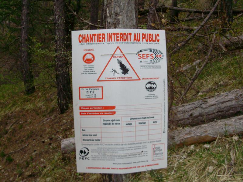 #14 Descente des Ostaus : Forestiers en action, ou comment détruire un sentier et en plus se foutre de la gueule des gens ! Descente des Ostaus : Forestiers en action, ou comment détruire un sentier et en plus se foutre de la gueule des gens !
