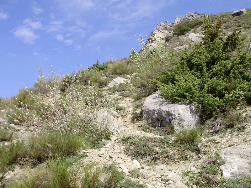 #6 Descente : Le T5 vient ensuite (épingle à droite après le bloc, très difficile !!) Descente : Le T5 vient ensuite (épingle à droite après le bloc, très difficile !!)