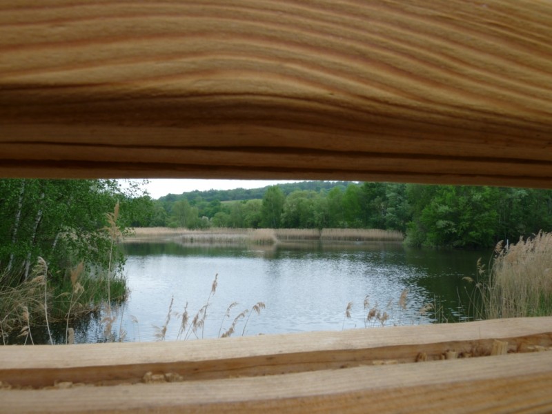#1 Etang du Haut Jarrie : poste d Etang du Haut Jarrie : poste d'observatoire.