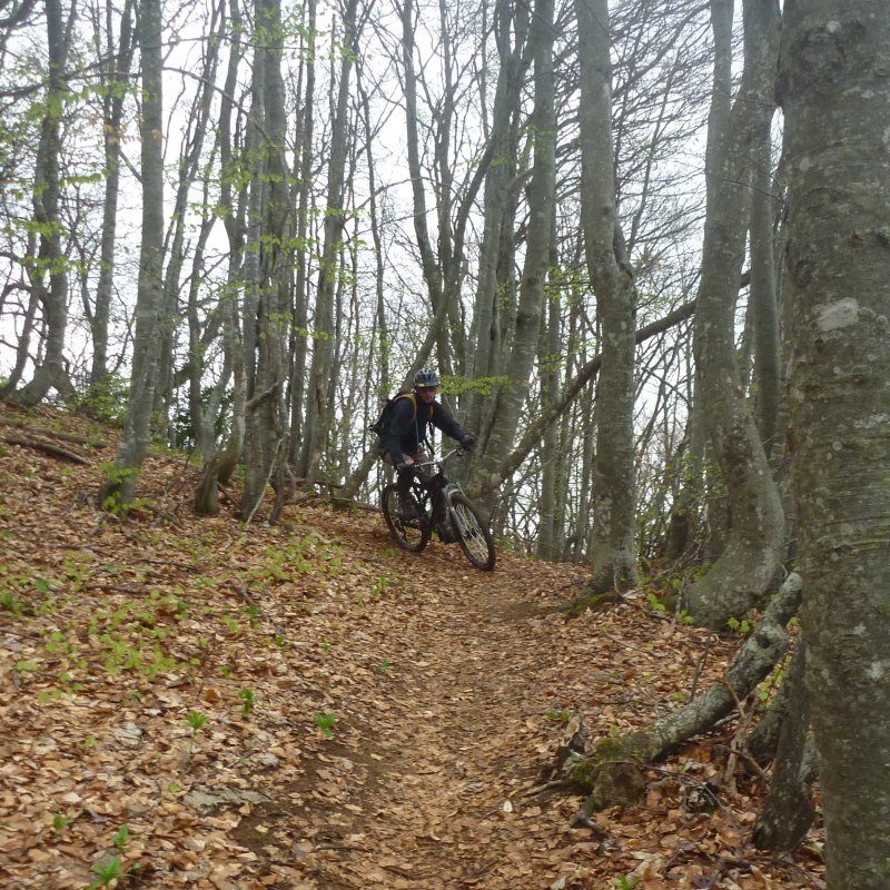 Allez zou... : ça roule