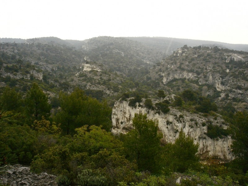 Vallon : Le vallon des Conquettes vu en remontant vers le Diable.
Au premier plan, l'Oppidum.