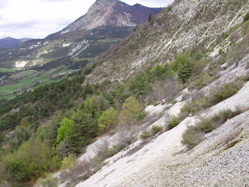 Descente du Col de Pierrefeu : Vraiment très belle, mais malheureusement très courte