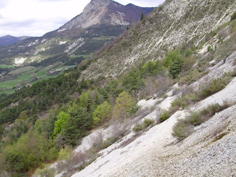 #11 Descente du Col de Pierrefeu : Vraiment très belle, mais malheureusement très courte Descente du Col de Pierrefeu : Vraiment très belle, mais malheureusement très courte