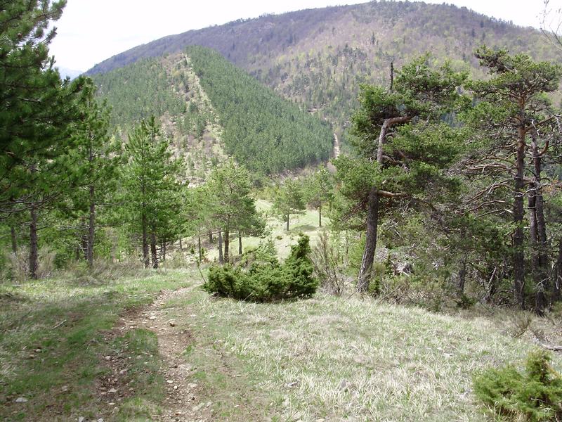 #14 Col de la Chaise : Et sa liaison XC; Col de la Chaise : Et sa liaison XC;