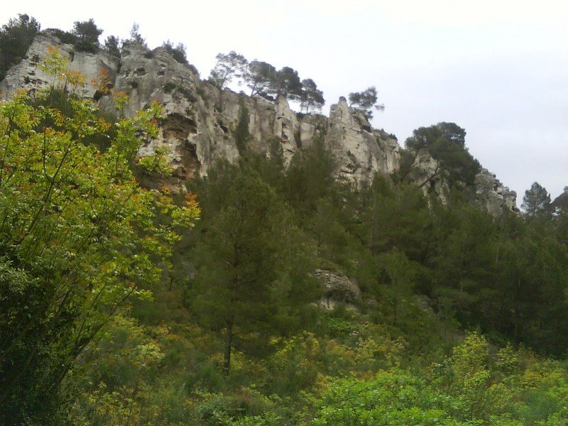 #1 Canyon : Vallon au-dessus du Roumagoua Canyon : Vallon au-dessus du Roumagoua