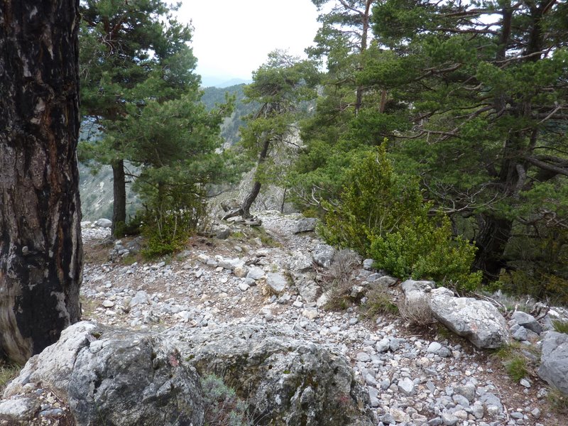 #23 Lacets sous le Brec : Il y a plus roulant ! Lacets sous le Brec : Il y a plus roulant !