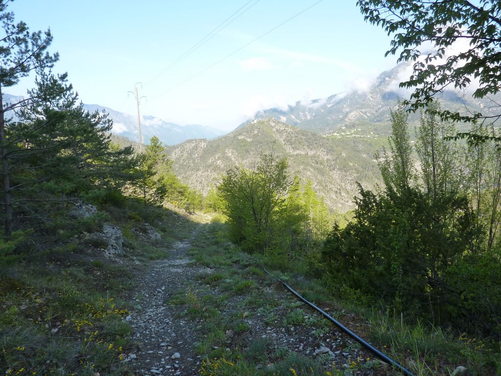 #5 Sentier sous la Tour : Ça roule Sentier sous la Tour : Ça roule
