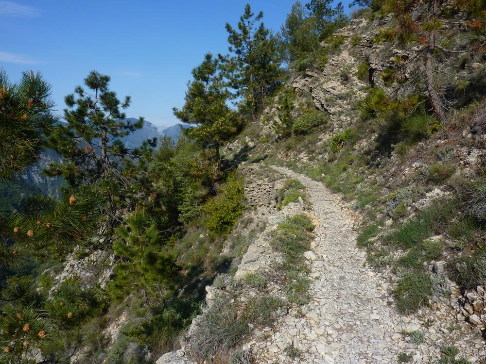 #13 Quel beau sentier : J Quel beau sentier : J'ai pas pu résister à sortir l'APN souvent tellement il est beau ce sentier !