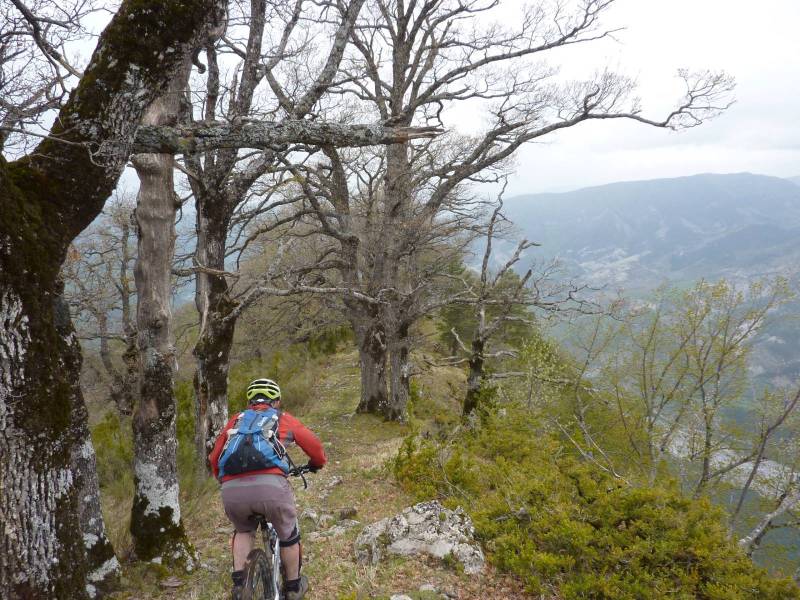 #10 la Pelau la Pelau