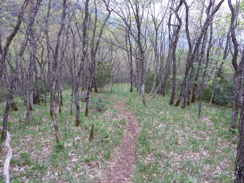 #2 Salève : La partie médiane du sentier Salève : La partie médiane du sentier