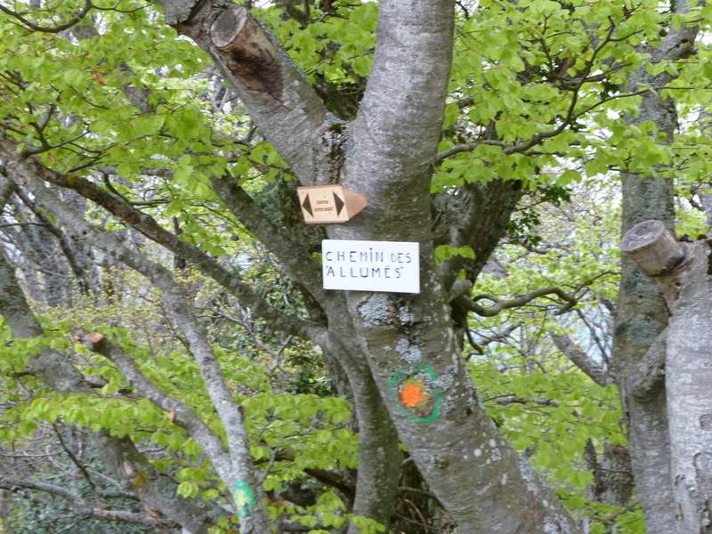 #1 Salève : Sentier des Allumés Salève : Sentier des Allumés