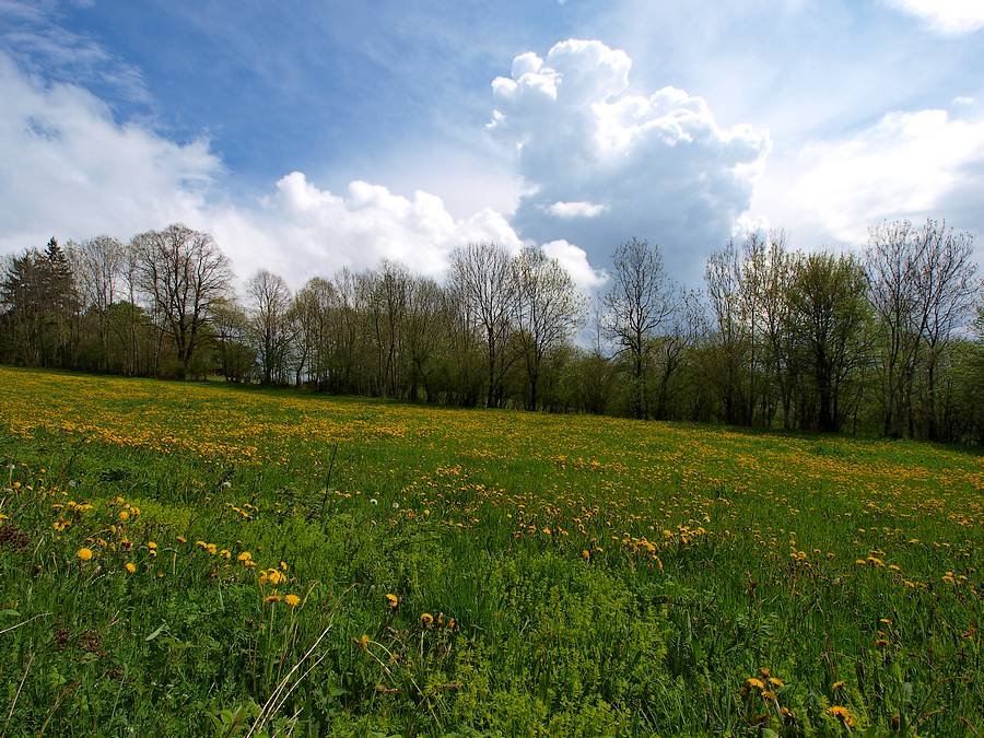 #3 nuage : ça gronde doucement nuage : ça gronde doucement