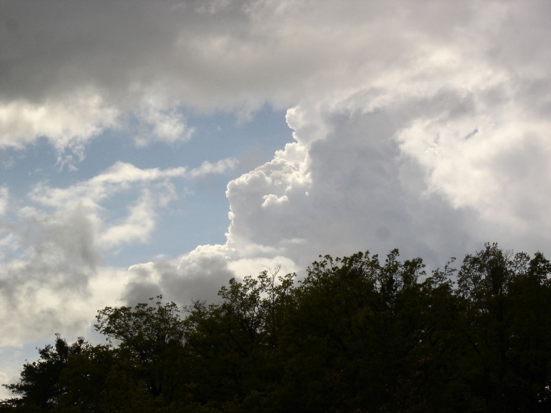 #17 Jour 1: Ciel : Nuages Jour 1: Ciel : Nuages