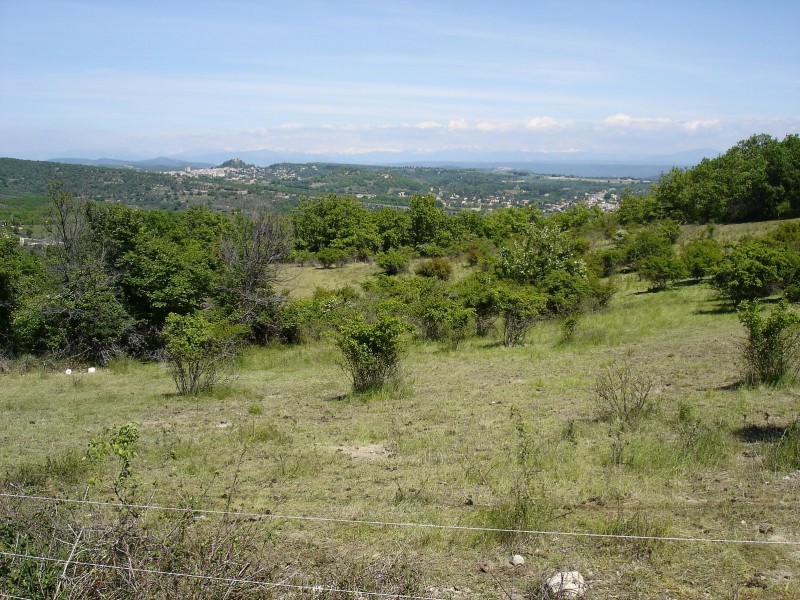 Jour 4: Sommets : Vers Saint-Michel-l'Observatoire, Forcalquier sur fond des sommets encore bien enneigés des Alpes de Haute-Provence: de la Tête de l'Estrop au Cheval Blanc...