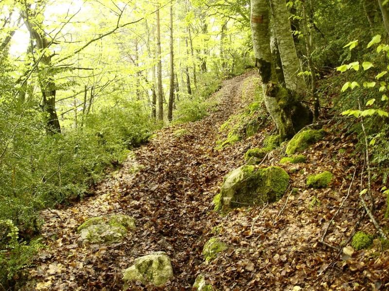 Jour 2: Feuillage trempé : => glissade assurée!
Sous le col de Saint-Ange...