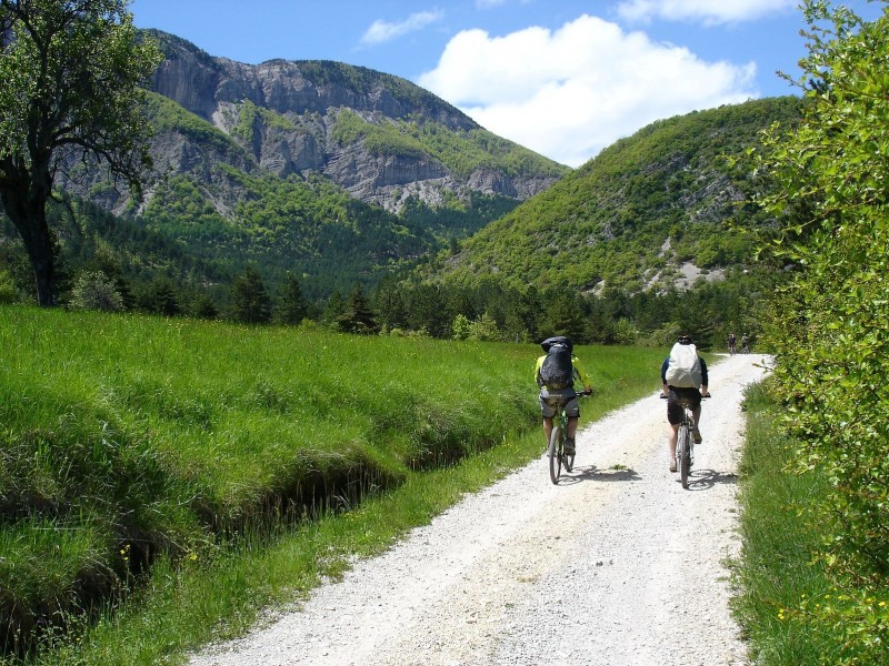 Jour 3: Paisible : Avant le passage du "Cheval Blanc", la piste est paisible, au milieu des champs de blé...