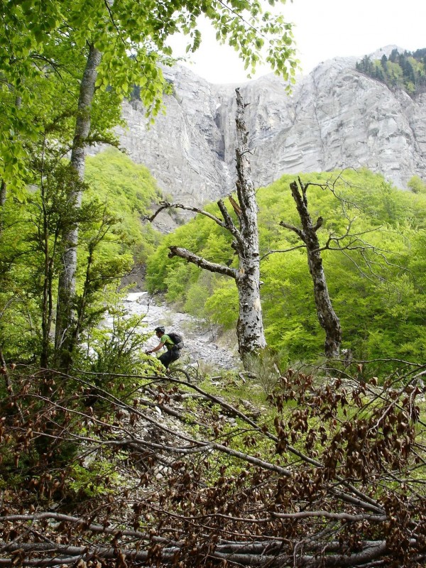 #57 Jour 3: Raide : Niak sur le vélo malgré la pente et la fatigue!
Au fond, le dernier ravin traversé. Jour 3: Raide : Niak sur le vélo malgré la pente et la fatigue!
Au fond, le dernier ravin traversé.