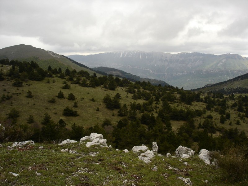 #40 Jour 2: Suite : Premier regard sur la Montagne de Lure, pour demain... Jour 2: Suite : Premier regard sur la Montagne de Lure, pour demain...