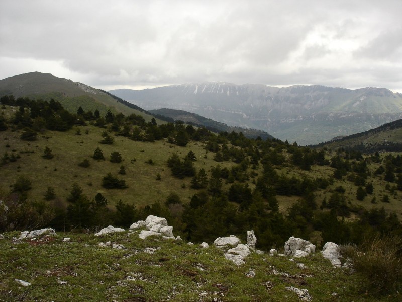 Jour 2: Suite : Premier regard sur la Montagne de Lure, pour demain...