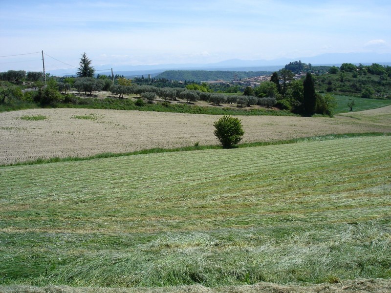 Jour 4: Champs : Forcalquier vu depuis le hameau "les Mariaudis"