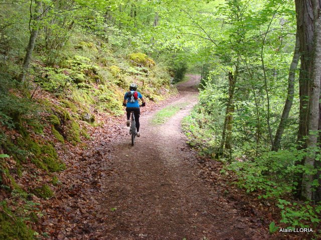 #2 Châtillon en Diois : Montée au Col de Caux Châtillon en Diois : Montée au Col de Caux