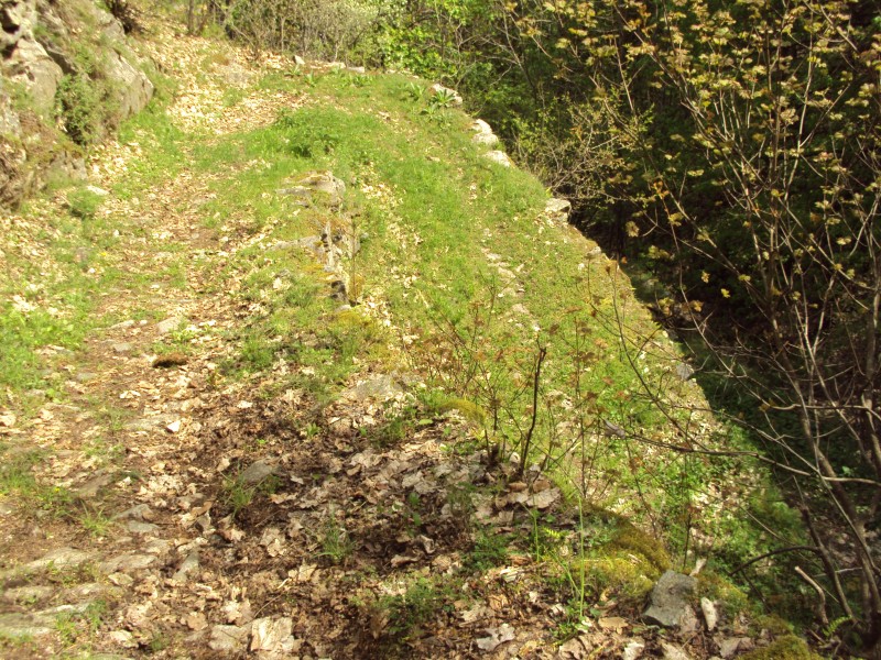#11 chemin : puis le chemin s elargit chemin : puis le chemin s elargit