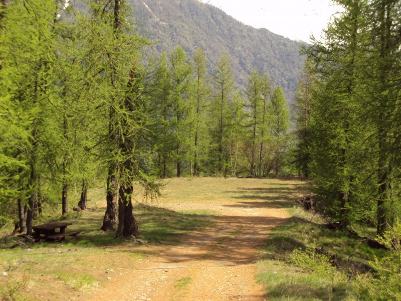 #5 le serre : plateau du serre avec table de picnica l ombre le serre : plateau du serre avec table de picnica l ombre